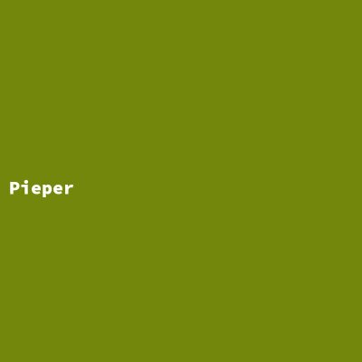 Hersteller: Pieper
